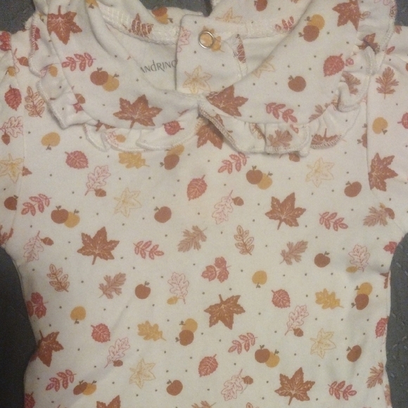 Fall Long Sleeve Baby Onesie​​ - Picture 2 of 4